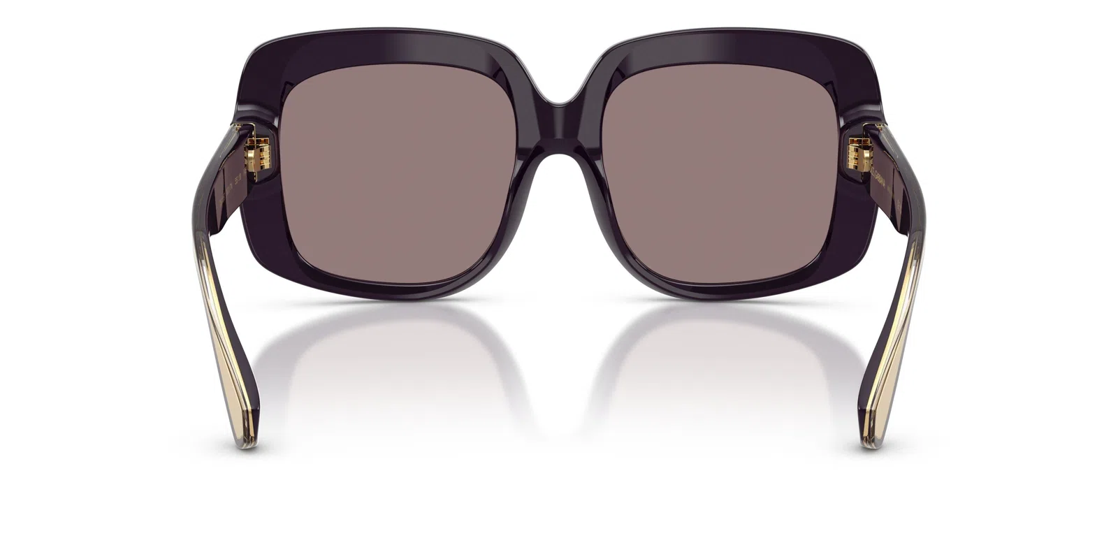 Dolce & Gabbana 4557 Sunglasses - view 12